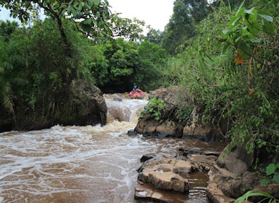 uganda/bwindi-impenetrable-national-park/attraction/sana-gorilla-rafting