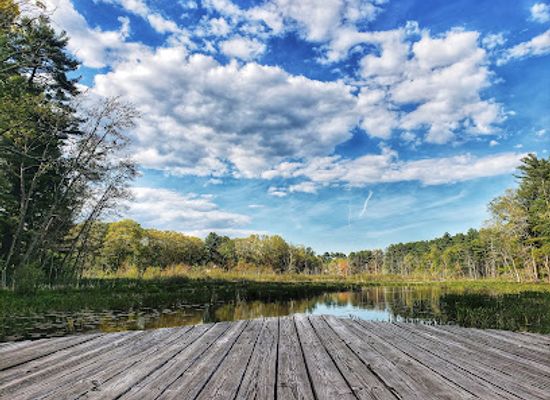 massachusetts/metrowest/attraction/mass-audubon-s-broadmoor-wildlife-sanctuary