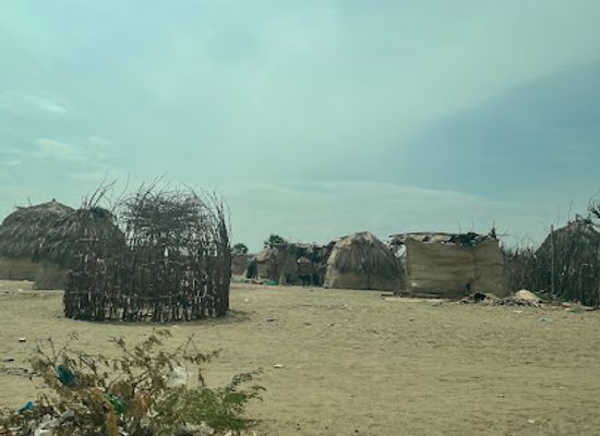 kenya/lake-turkana/attraction/kenya-wildlife-station-kalokol