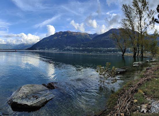 switzerland/ascona/attraction/parco-delle-camelie
