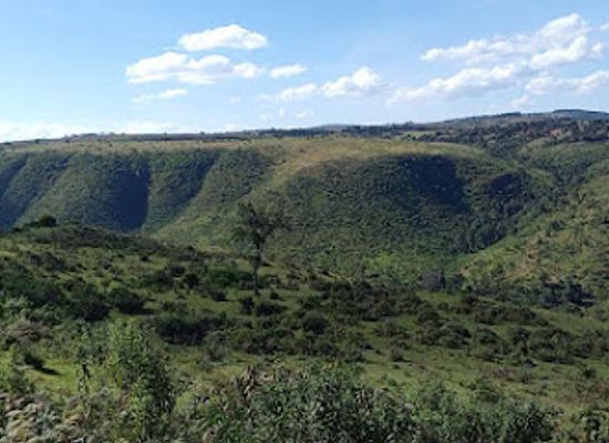kenya/elgeyo-escarpment/attraction/nyahururu-forest