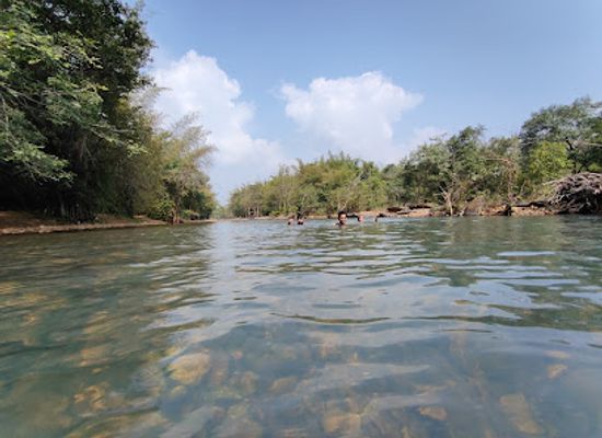 india/andhra-pradesh/attraction/andhra-pradesh-forest-department-tourist-place