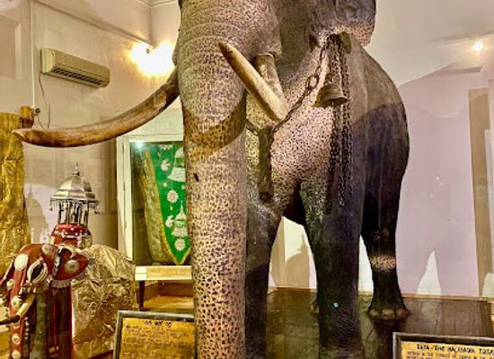 sri-lanka/kandy-district/attraction/museum-of-the-tusker-rajah