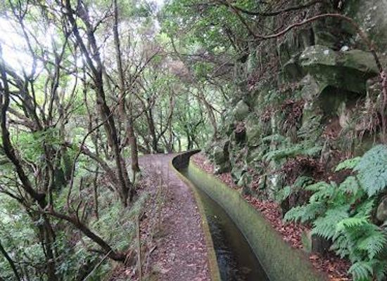 portugal/madeira/attraction/levada-da-ribeira-da-janela