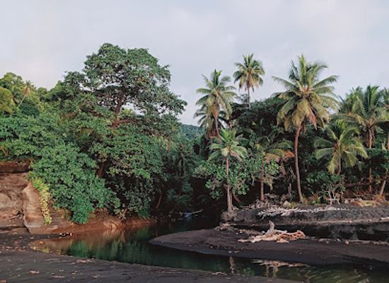 vanuatu/espiritu-santo/attraction/loone-beach