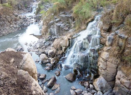 ethiopia/gondar/attraction/awash-park