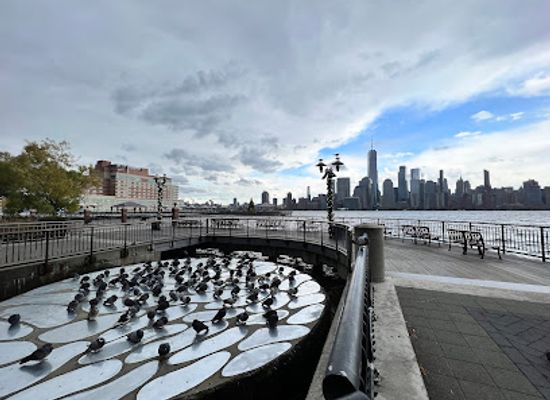 new-jersey/jersey-city/attraction/sky-cache-by-kate-dodd