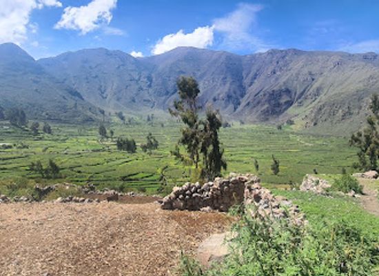 peru/colca-canyon/attraction/llanca-tierra-viva