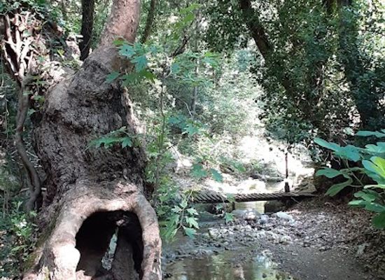 greece/south-aegean/attraction/potami-waterfalls
