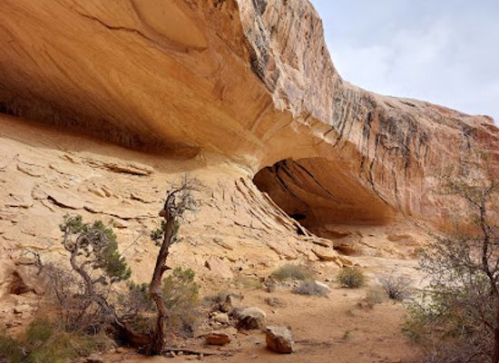 utah/colorado-plateau/attraction/wild-horse-window-trailhead