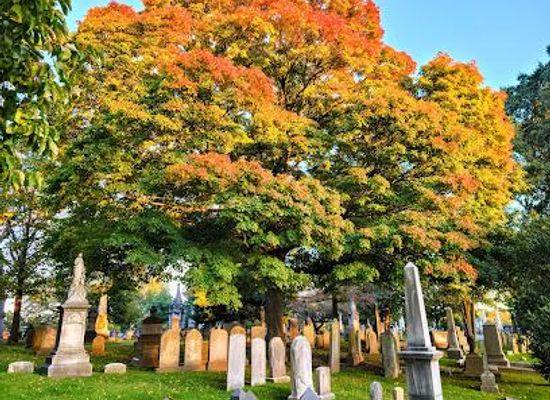 new-jersey/trenton/attraction/laurel-hill-east