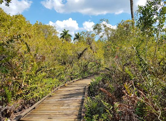 florida/fakahatchee-strand-preserve-state-park/attraction/collier-seminole-state-park