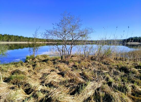 finland/archipelago-national-park/attraction/valkmusa-national-park
