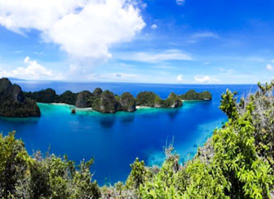 indonesia/raja-ampat/attraction/arborek-dive-shop