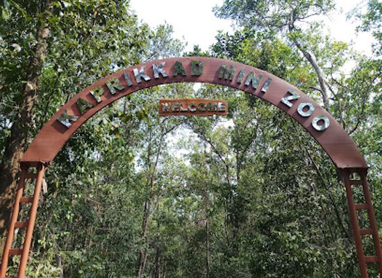 india/kerala/attraction/abhayaranyam-kaprikkadu-ecotourism