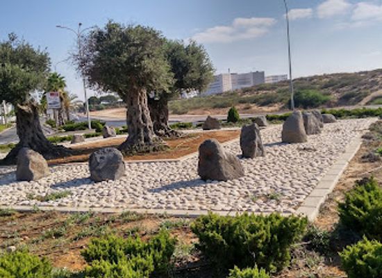 israel/ashdod/attraction/diyunot