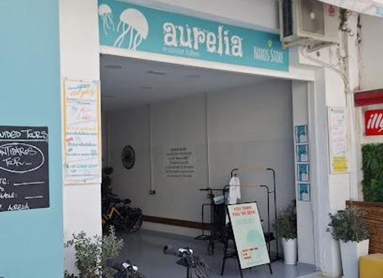 greece/cyclades/attraction/aurelia-e-assist-bikes