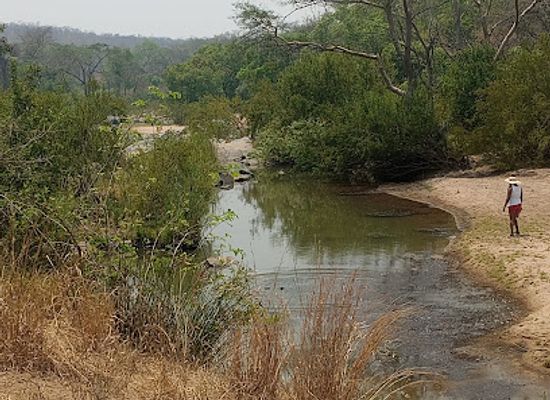 zimbabwe/mashonaland-east/attraction/umfurudzi-game-park