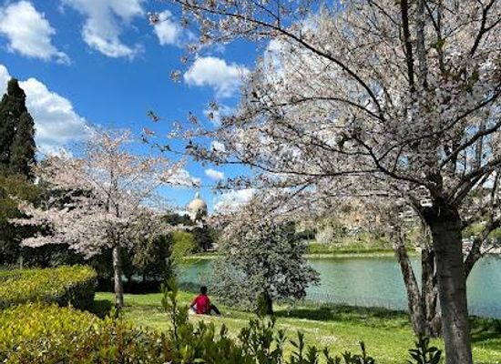 italy/rome/attraction/passeggiata-del-giappone-dell-eur