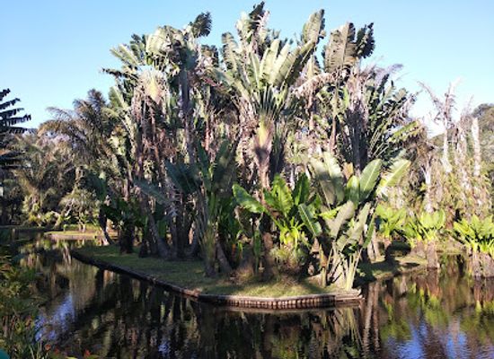 madagascar/anosy/attraction/saiadi-botanical-garden