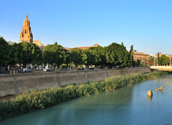spain/murcia/attraction/paseo-mota-del-rio-segura