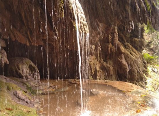christmas-island/murray-hill/attraction/the-dales