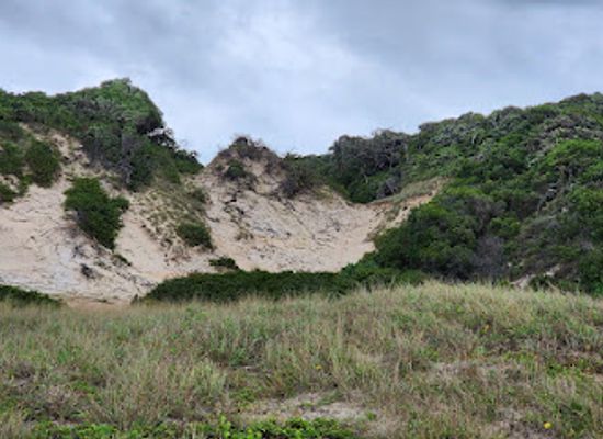 australia/mount-augustus-national-park/attraction/five-beaches-4x4-track