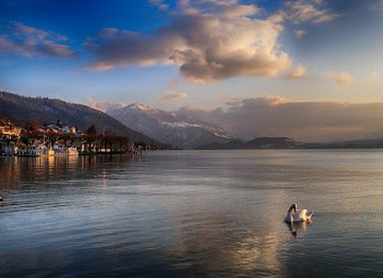 switzerland/zug/attraction/hirschgehege-am-alpenquai-zug
