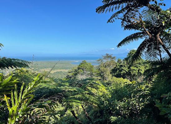 australia/port-douglas/attraction/tony-s-tropical-tours