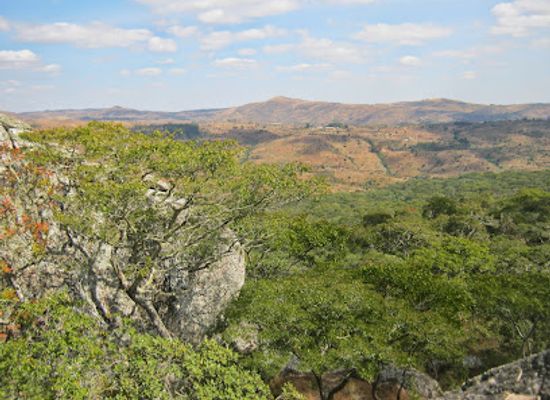 malawi/southern-region/attraction/ntchisi-rain-forest