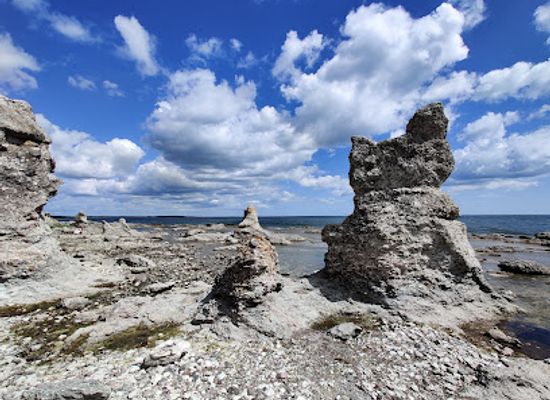sweden/gotland/attraction/folhammar-raukomrade