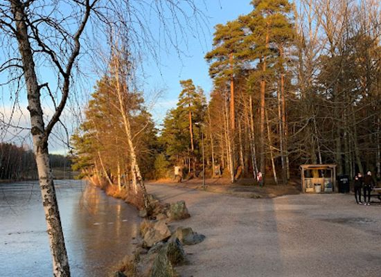 norway/fredrikstad/attraction/bjorneparken-fredrikstad-wooden-carvings-on-the-marked-trail