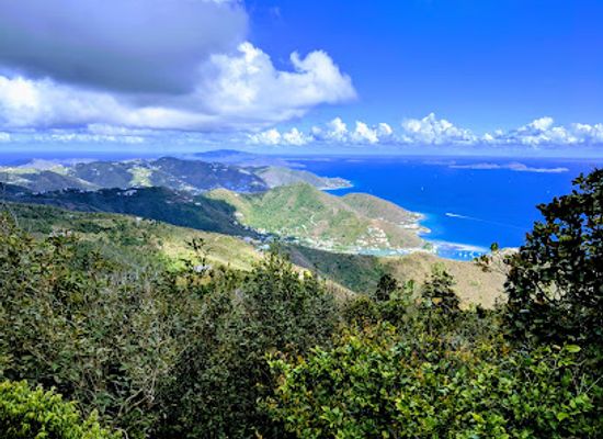 british-virgin-islands/anegada-beaches/attraction/sage-mountain-national-park