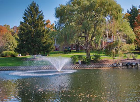 illinois/elgin/attraction/lords-park