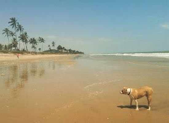 ghana/accra/attraction/kokrobite