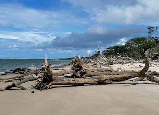florida/first-coast/attraction/driftwood-beach