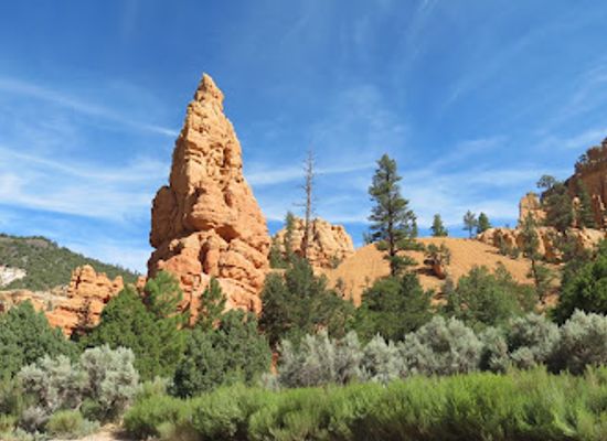 utah/panguitch/attraction/red-canyon-visitor-center