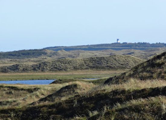 denmark/thy-national-park/attraction/hanstholm-vildtreservat