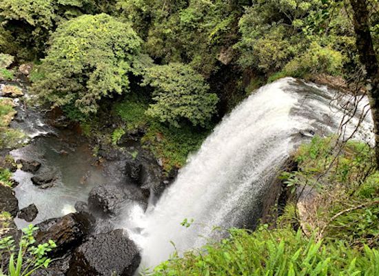 australia/atherton-tablelands/attraction/zillie-falls-qld