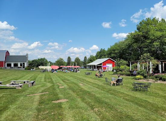 maryland/catoctin-mountain-park/attraction/catoctin-breeze-vineyard
