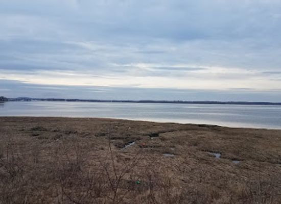 massachusetts/north-shore/attraction/mass-audubon-joppa-flats-education-center