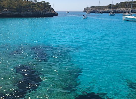 spain/balearic-islands/attraction/palma-de-mallorca