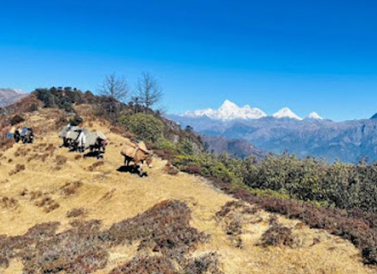 bhutan/eastern-bhutan/attraction/nub-tshonapata-trek