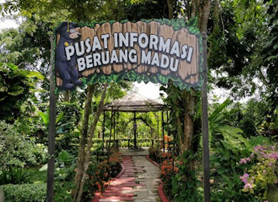 indonesia/balikpapan/attraction/kwplh-balikpapan-sun-bear-conservation