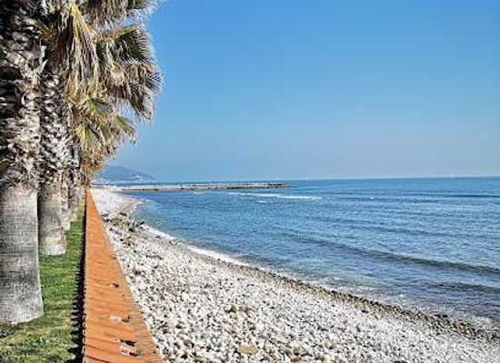 spain/barcelona/attraction/passeig-maritim
