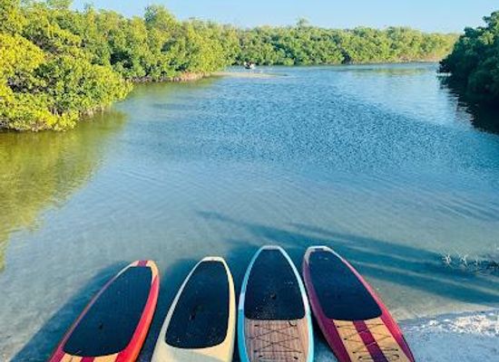 florida/southwest-florida/attraction/three-brothers-dolphin-and-manatee-adventure-fort-myers