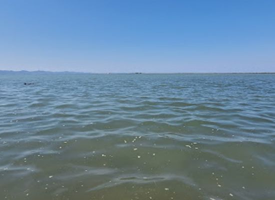 albania/kurbin/attraction/zona-patok