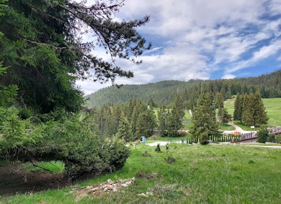 bulgaria/pamporovo/attraction/rozhen-meadows