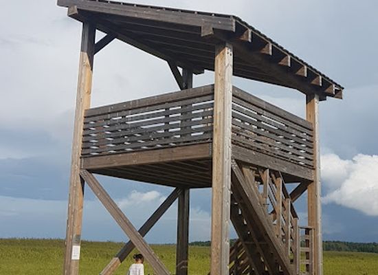 estonia/lahemaa-national-park/attraction/tour-observation