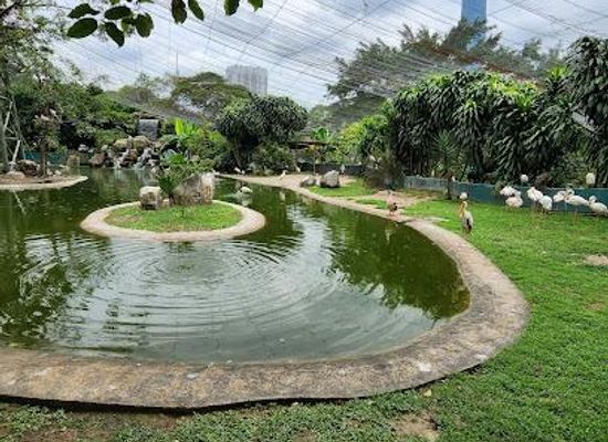 malaysia/kuala-lumpur/attraction/kl-bird-park